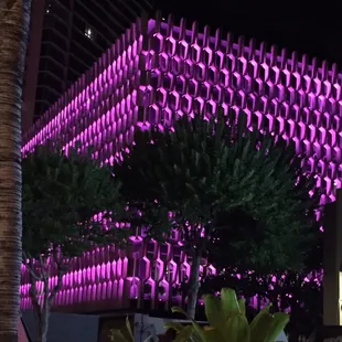 Kona Nui Nights and other Ward Village events are held here