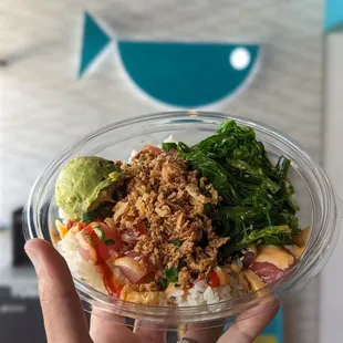 Kona Fire $14 - Ahi Tuna, seaweed, avocado, crunches and spice