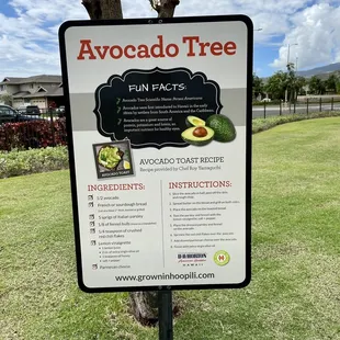 Avocado tree with "Fun Facts!"