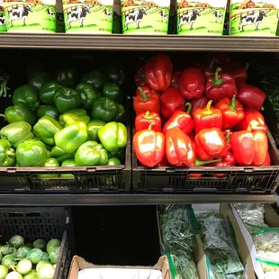 a variety of vegetables