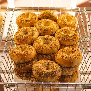 Fresh Baked Everything Bagels