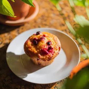Cranberry Muffin