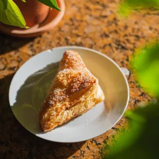 Fresh Baked Apple Turnover