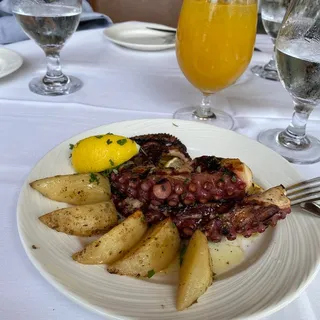 Grilled Octopus