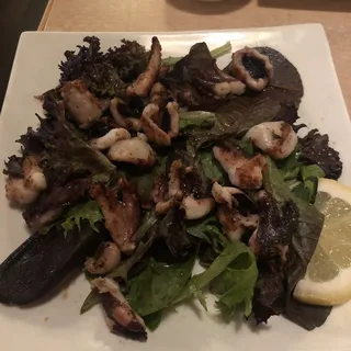Baby Octopus Salad