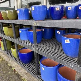 Nice assortment of medium to large ceramic pots