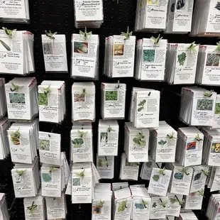 Wide variety of Fukuda Seed Store seeds, mostly vegetables including hard-to-find Asian varieties