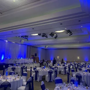 Royal blue uplighting