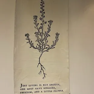 interior, burritos and wraps