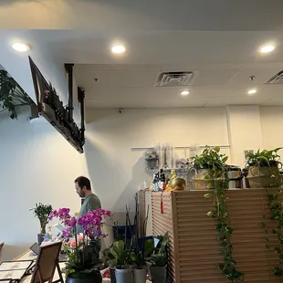 2/2/2025-plants everywhere...nicely decorated