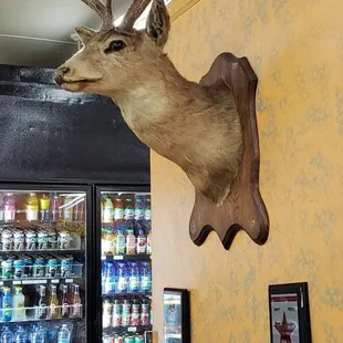 That was an animal in real life, so sad.