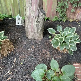 Beautiful outdoor seating area