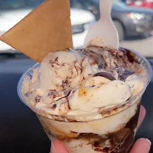 Turtle flavor of the day