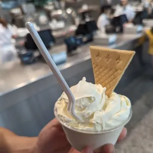 Vanilla Frozen Custard