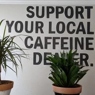 two potted plants in front of a sign that says support your local caffeine dealer
