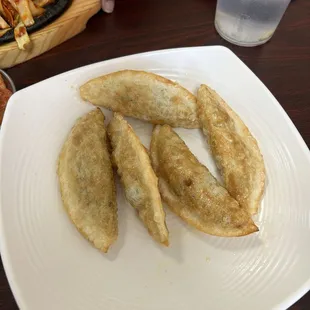 Fried Dumplings