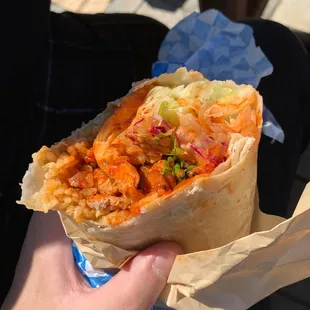 Spicy Chicken Burrito