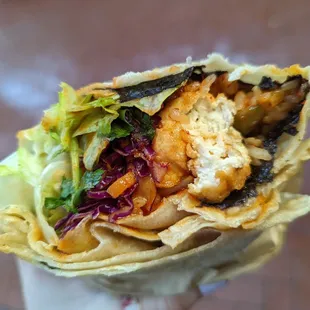 Burrito w/ Tofu