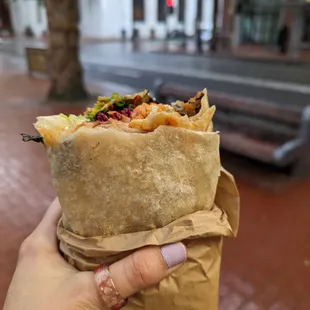 Burrito w/ Tofu