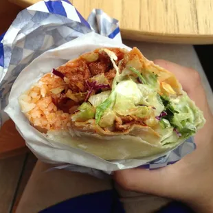 Spicy Pork Burrito