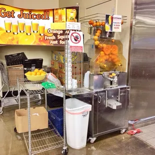Freshly squeezed Orange Juice station.