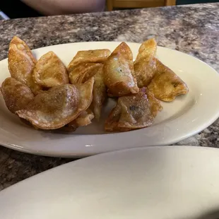 Fried Dumplings
