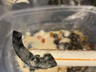 Black Sesame