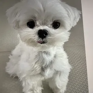 Daisy M.