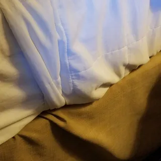 A F.