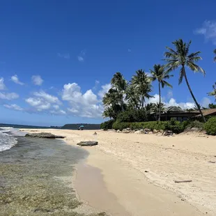 Jin fishes for sea urchins here
