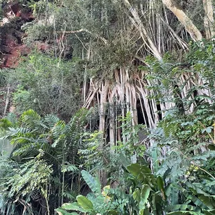 Nigerian plane crash site