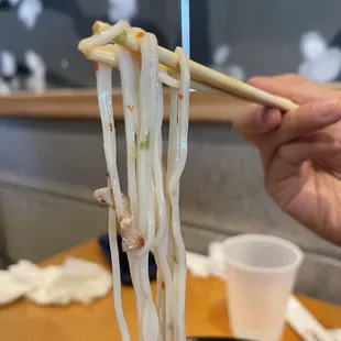 The &quot;ramen&quot; noodles?  It was white&apos;ish in color and the texture and shape was wrong.