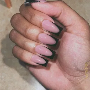 Black frenchies