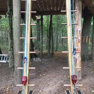 Ladders to the platform