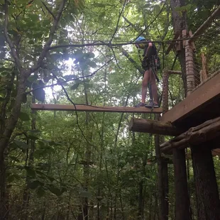 Koteewi aerial adventure