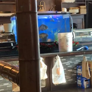 Our waiter was cleaning this tank in between serving customers