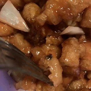 Bug in sweet and sour chicken