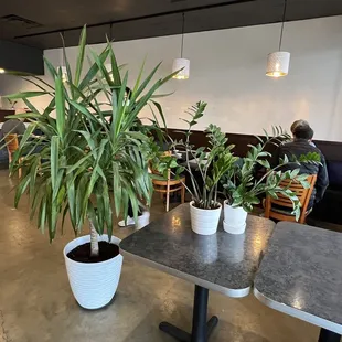 a restaurant with tables and plants