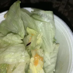 Iceberg Salad