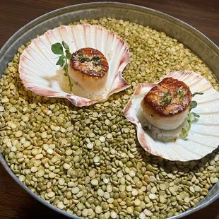 Scallops w rice /dried lentils
