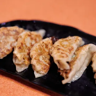 Gyoza
