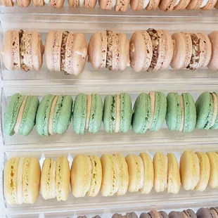 Fall Macarons: Pumpkin, Salted Caramel, Maple Pecan, Apple Butter, Blackberry