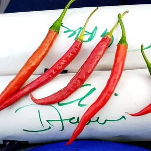 Hot Peppers from Kovac&apos;s veggie garden for hoagies