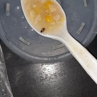 Roach in dinner soup