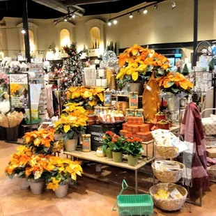 a wide variety of flowers