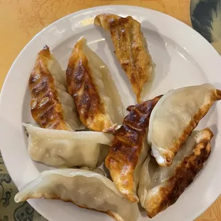 Fried Pot Stickers