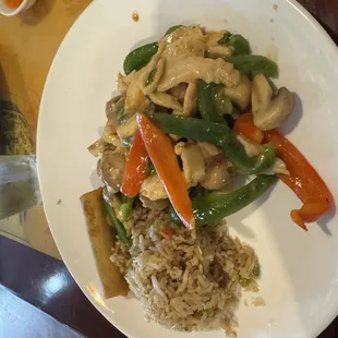 Thai Basil Chicken with Fried Rice