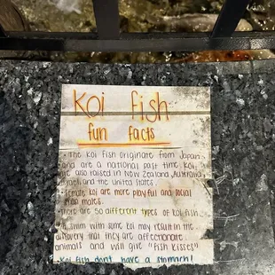 Koi fish fun facts