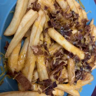 a plate of french fries