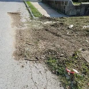 a patch of grass on the side of a road
